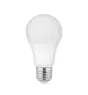 Pro LED E27 Poire Dépolie 5.5W 470lm - 827 | Dimmable - Remplacement 40W